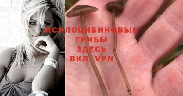 кокаин Алексеевка