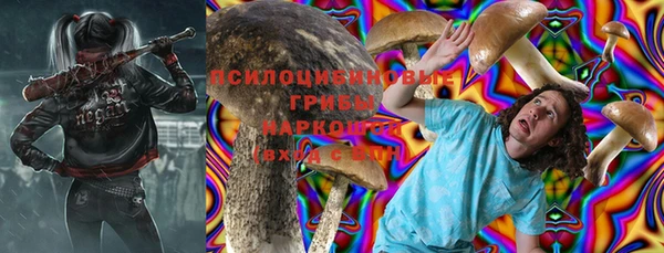 ешки Алексин