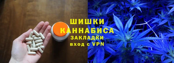 ешки Алексин